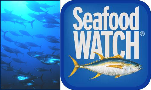 SeafoodWatchimg