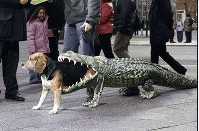 dog-aligator-costume