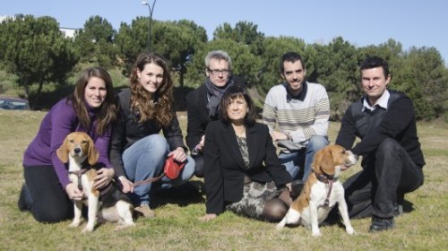 scientists-cure-dogs-with-diabetes