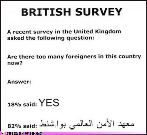 BritSurvey