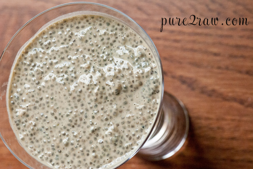 edited-chia-pumpkin-2