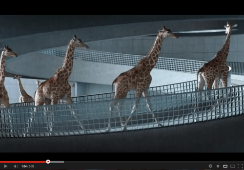 Screen Shot 2013-04-28 at 10.34.46 PM