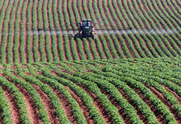 1112pesticides364big